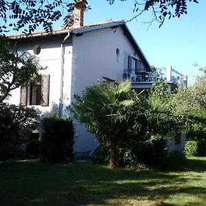 https://apartments-miri.in-istria.net