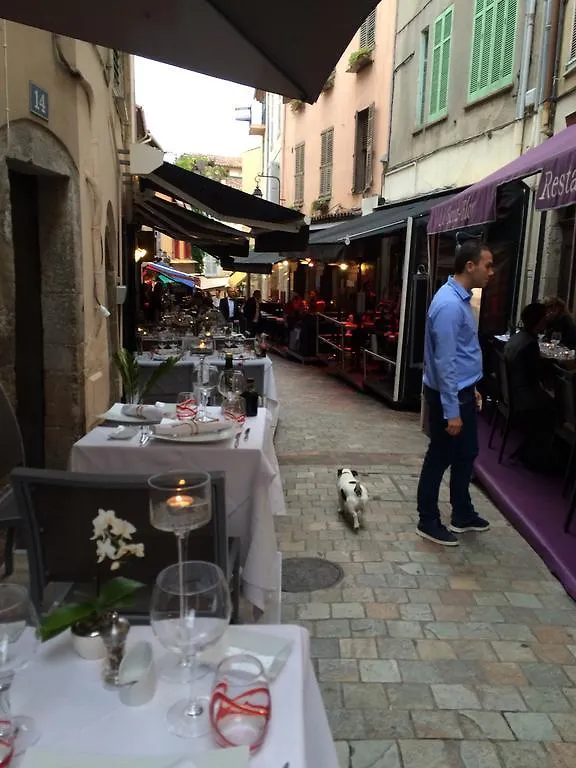 Apartment Palme D'Hote Cannes